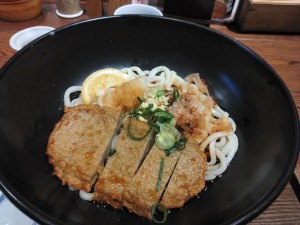 じゃこ天がのったうどん